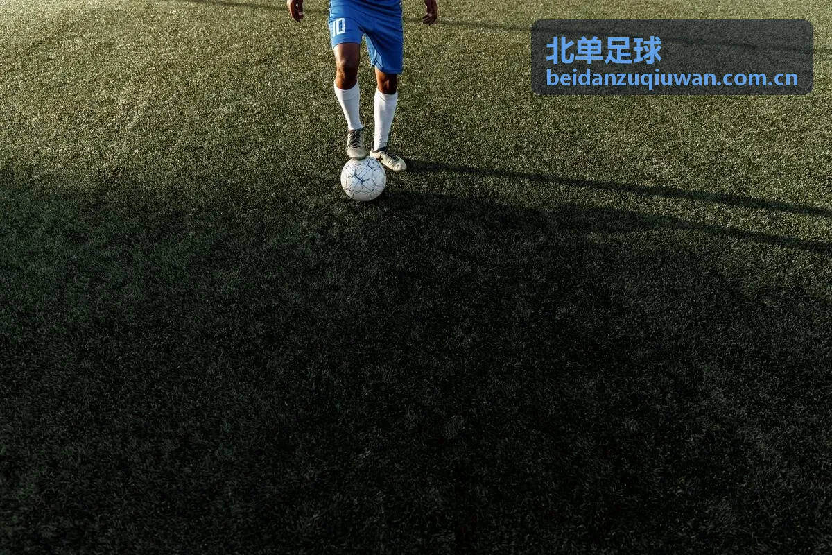北单足球竞猜结果统计摘要